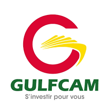 GULFCAM Logo